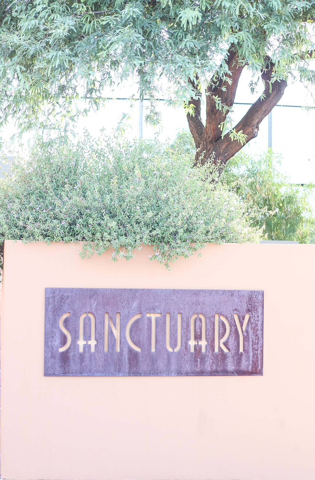 Sanctuary-c-1